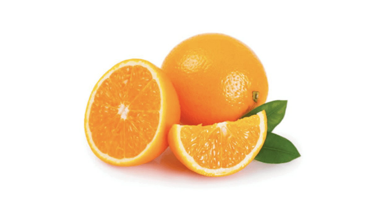 portagal-turkiye-1kq-1891