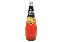 juss-miks-meyve-siresi-suse-100-740ml-557